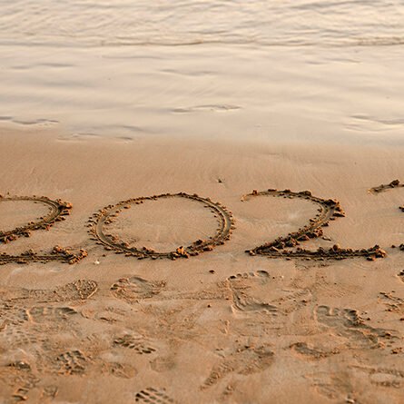 Summarizing Summarizing